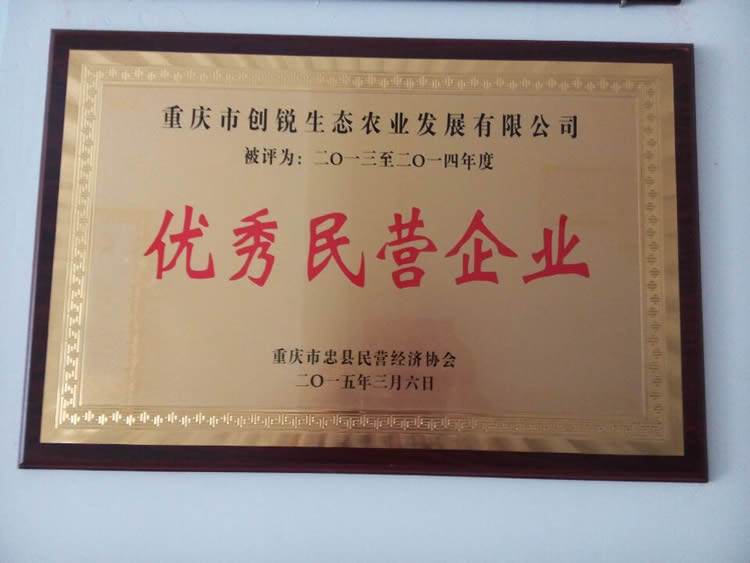 榮譽(yù)牌匾1.jpg