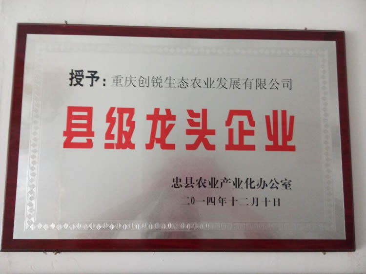 榮譽(yù)牌匾.jpg